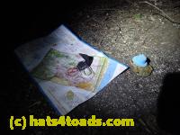 /home//u458753944/public_html/sourcegallery//Roxborough Toad Detour/2013-2019/2017/P4110720.JPG